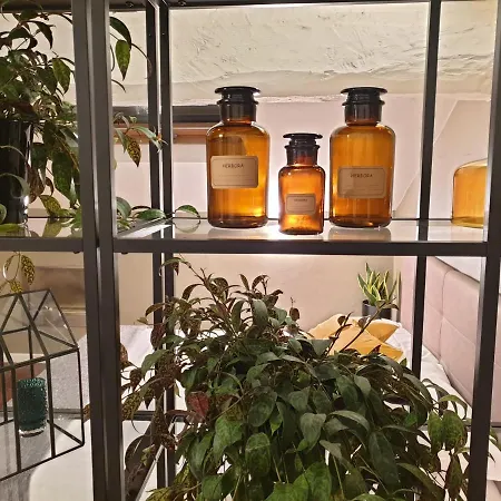 Apartamento Vico - Corso 11 *